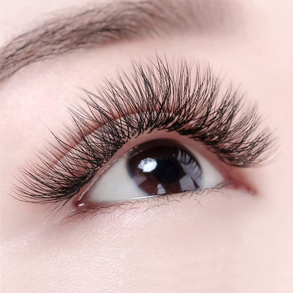 https://knailspaus.com/wp-content/uploads/2025/05/61iGJBcTA2L._SL1000_.jpg